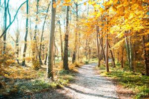 Photo 24- click for photo gallery